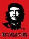 UKRAINE Ã¢â¬â MAY 31, 2008: Ernesto Che Guevara, portrait of The Legendary Latin American Revolutionary Leader. Royalty Free Stock Photo